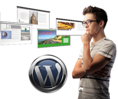 Wordpress Web Designer Perth